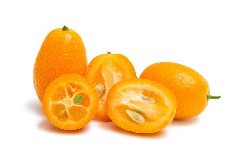 Pregi e ricette del kumquat il buonissimo mandarino cinese