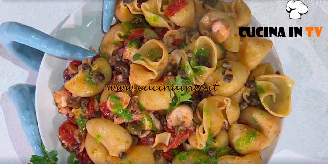 È sempre mezzogiorno | Conchiglioni al ragù di polpo ricetta Andrea Mainardi