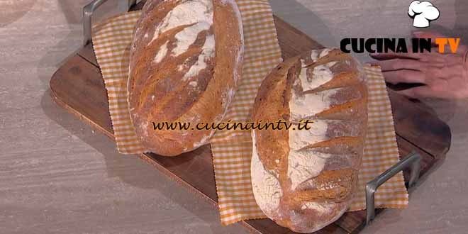 È sempre mezzogiorno | Pane ai grani antichi ricetta Fulvio Marino